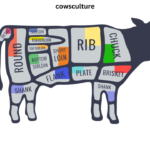 quarter cow