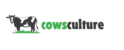 CowsCulture | cows Roots