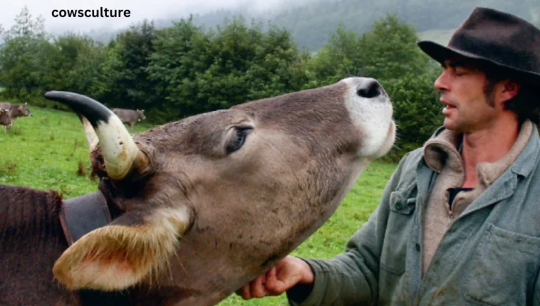 Female Cow Have Horns