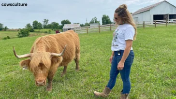 How Much Land Does a Highland Cow Need