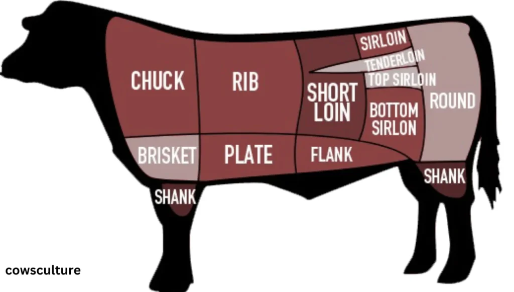 how much is a meat cow worth