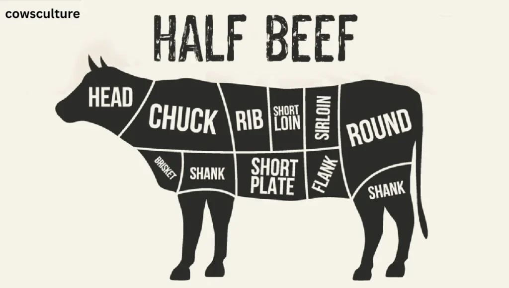 how much is half a cow