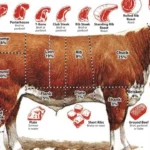 How Much Meat Is in a Quarter of a Cow?